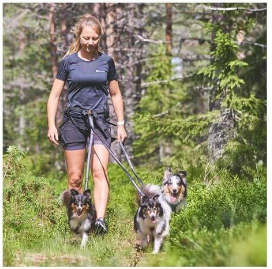 Image du produit Non-Stop Dogwear Harnais de ligne 5.0 Orange 8 (8, Chien, Général)