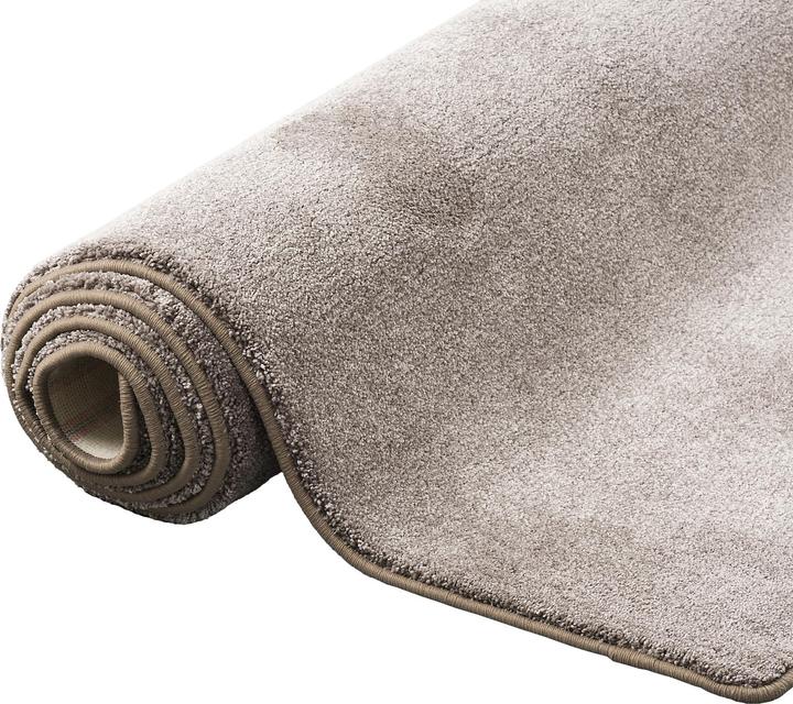 Produktbild Snapstyle Hochflor Luxus Velours Teppich Touch (100 x 300 cm)