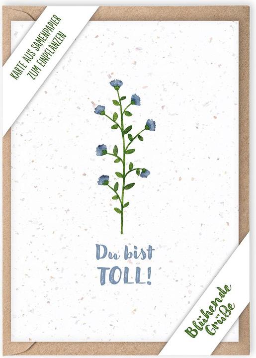 Produktbild Du bist toll! (1 Stk.)