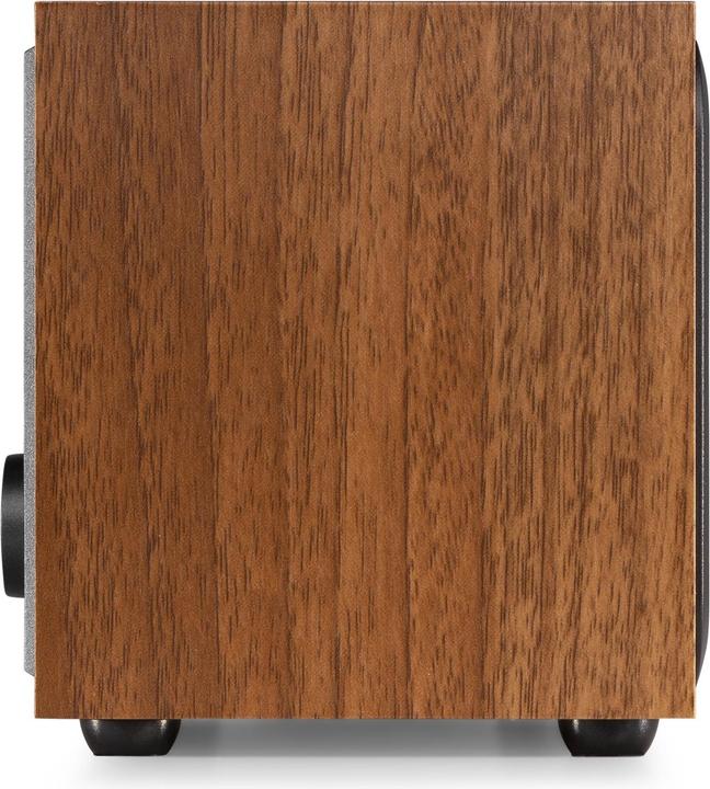 Actual product image Audizio Internet Radio Rimini wood look (Web radio, Bluetooth)