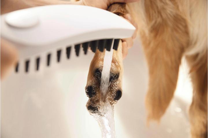 Produktbild hansgrohe DogShower Hundebrause 150 Select (3 Strahlarten, 7.60 l/min)