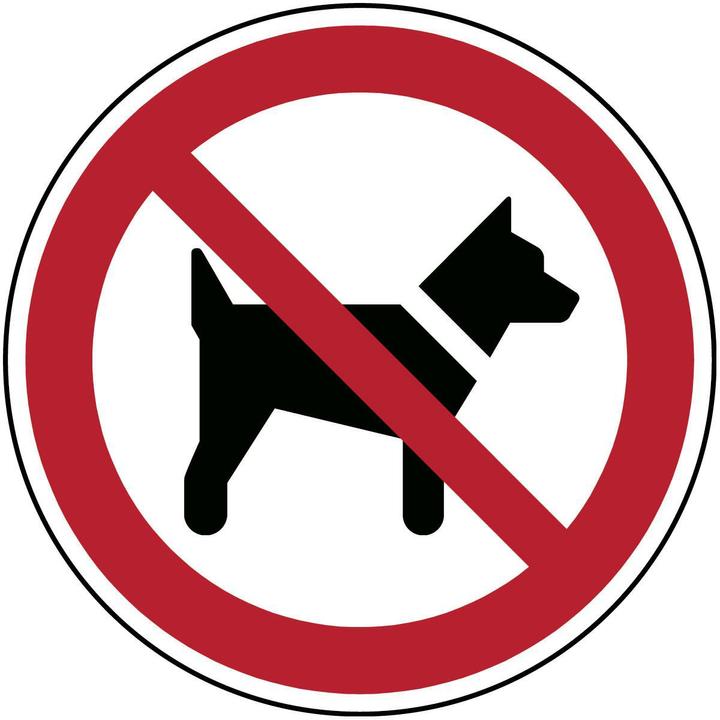 Actual product image Brady ISO safety sign - Dogs prohibited