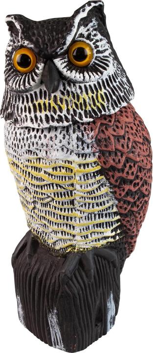 Actual product image Windhager Bird defence owl