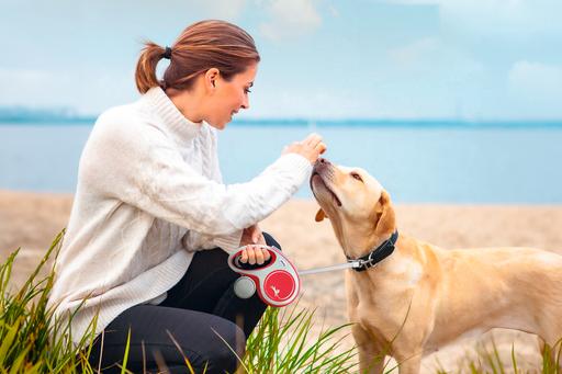 Immagine prodotto Flexi Nuova cintura Comfort (S, Cane, Passeggiare)