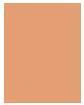 Actual product image Bourjois Healthy Mix (03 Light Medium)