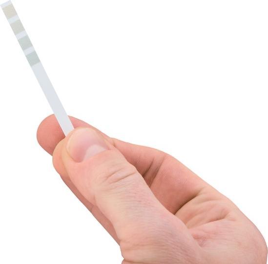 Actual product image WMF Perfection Descaler