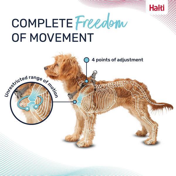 Actual product image Company of Animals Halti Anatomy XXS puppy harness (XXS, Dog)