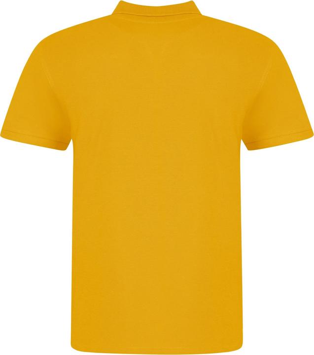Immagine prodotto Awdis Polo Just Polo (XXL)