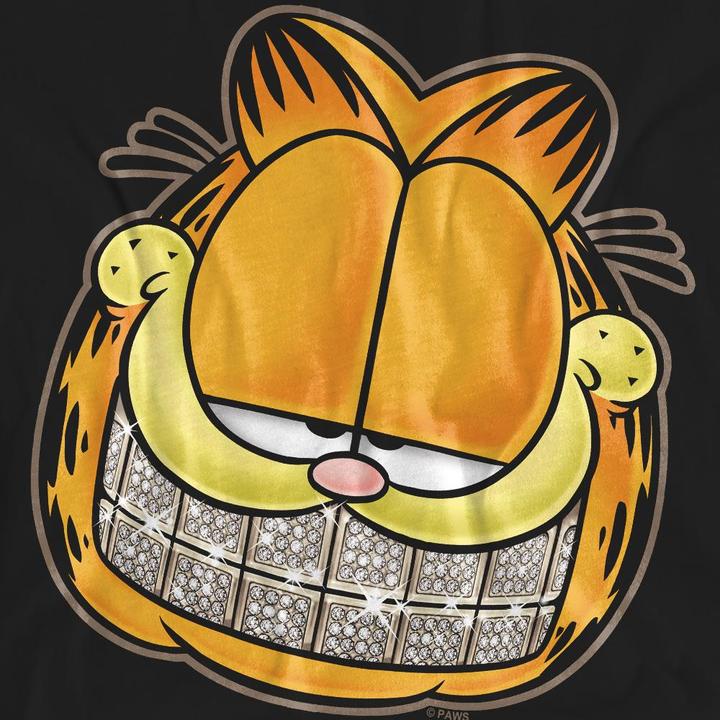 Image du produit Garfield - T-shirt NICE GRILL - Adulte (XXL)