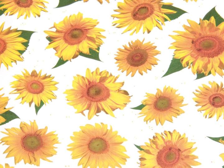 Produktbild Eneroid Transparentpapier HEYDA 79327, Sonnenblume