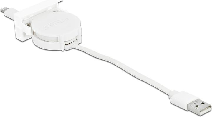 Delock USB A - USB A (0.62 m, USB 2.0)