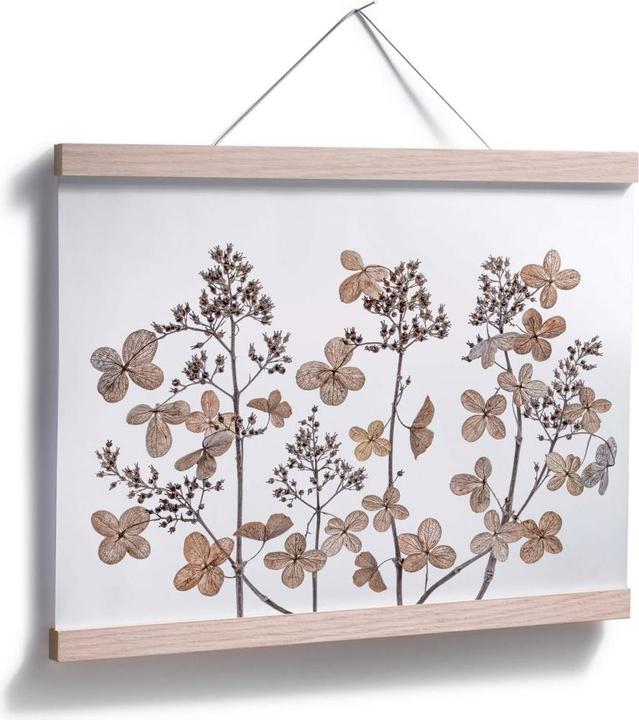Immagine prodotto Trenddeko Fiori secchi (50 x 40 cm)