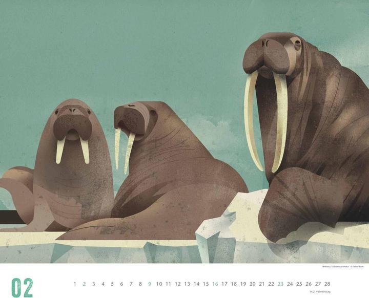 Produktbild Dieter Braun: Die Welt der Tiere 2025 – Wandkalender – Format 60 x 50 cm (Harter Einband, Deutsch)