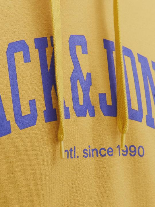 Produktbild Jack & Jones Hoodie (M)
