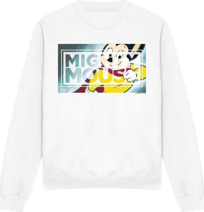 Actual product image Fruit of the Loom Unisex Adult Mighty Rectangle Sweatshirt (L)