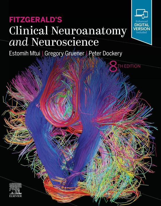 Actual product image Fitzgerald's Clinical Neuroanatomy and Neuroscience (English, Mtui Estomih, E. Mtui, Dockery Peter, P. Dockery, Gruener Gregory, G. Gruener, 2020)