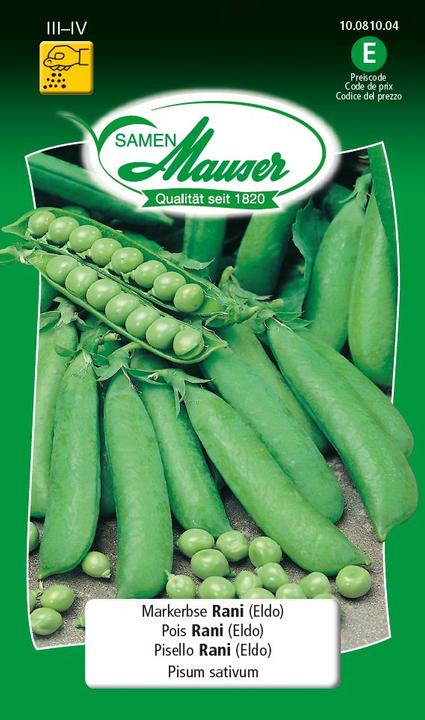 Produktbild Samen Mauser Mark-Erbse Rani (Gemüsesamen)
