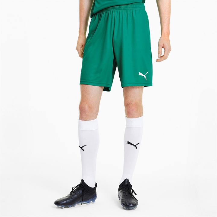 Image du produit Puma teamGOAL 23 knit Short-704262 (S)