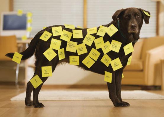Produktbild Post-it Super Sticky (76 x 76 mm)