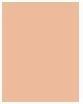Actual product image Bourjois Healthy Mix Serum Clean & Vegan Roll-on Concealer (52 Beige)