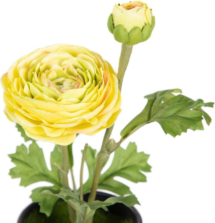 Produktbild Natec Dekorationspflanze Polyester Polyäthylen Eisen Blume 9,5 x 9,5 x 29 cm (29 cm)