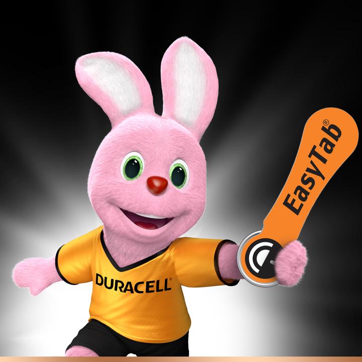 Immagine prodotto Duracell Scheda elettronica facile (6 pz., A13, 290 mAh)