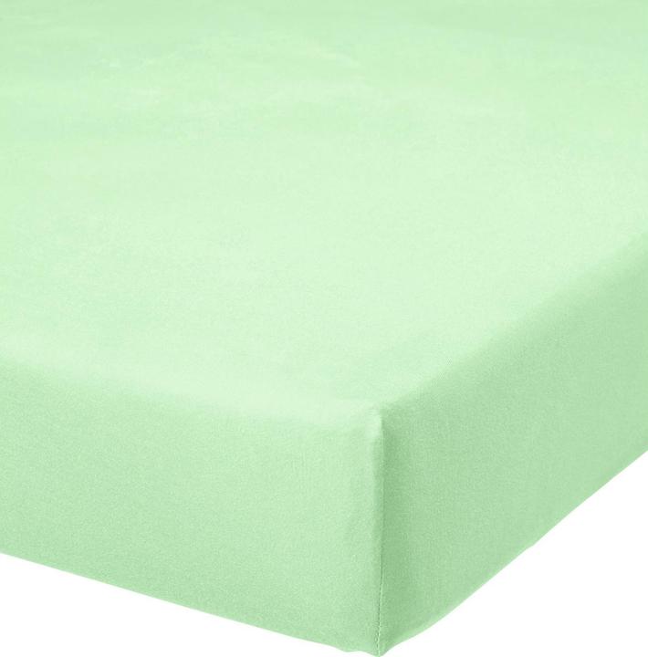 Verde menta