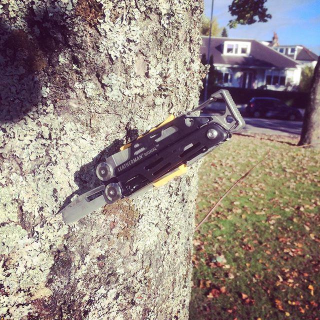 Image du produit Leatherman Signal Samurai Edition Damascus (19 Fonctions)
