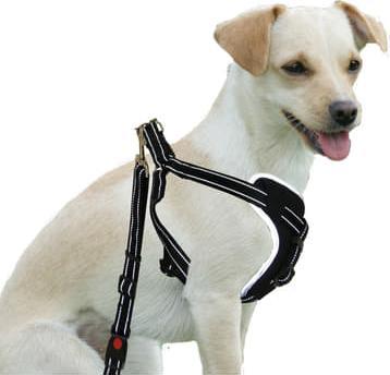 Immagine prodotto Swisspet Imbracatura di sicurezza DogSafe per cani (M, Cane, Generale)