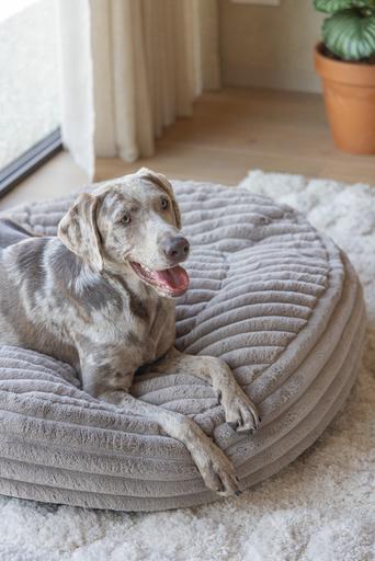 Produktbild Designed by Lotte Liegekissen Reza (Hund)