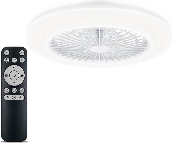 Image du produit Signify Philips Amigo (6500 lm)