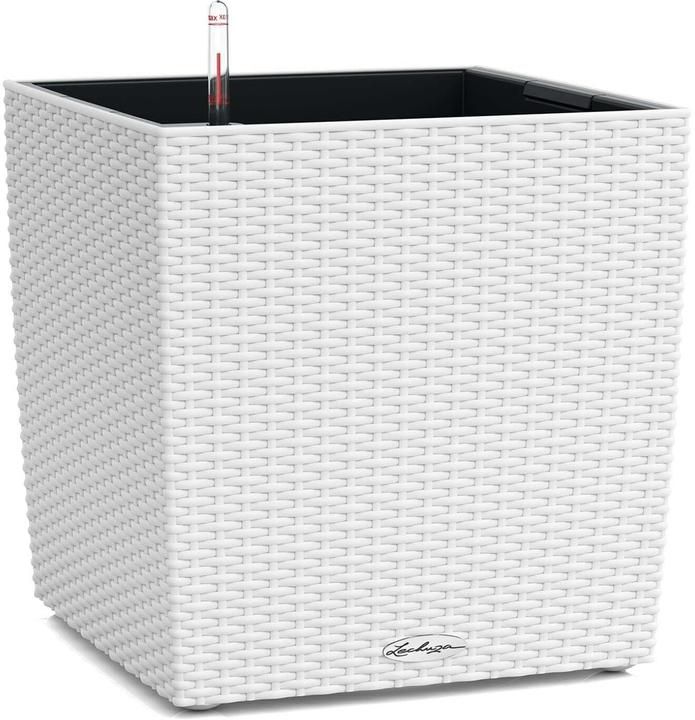 Produktbild Lechuza Cube Cottage 30 (29 cm)