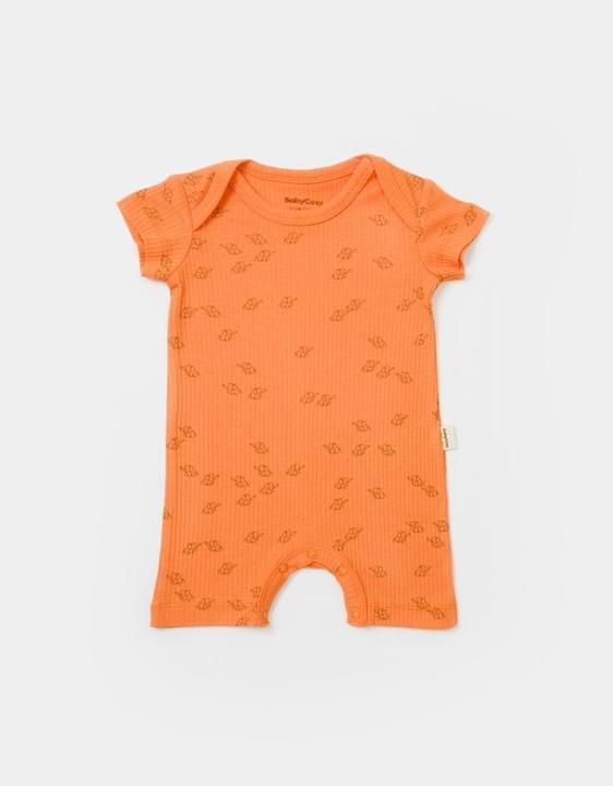 Image du produit BabyCosy Grenouillère courte. manches courtes. 2 Pack (62)