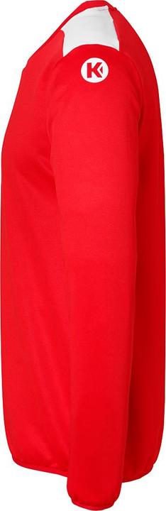 Actual product image Kempa Emotion 27 Training Top (L)