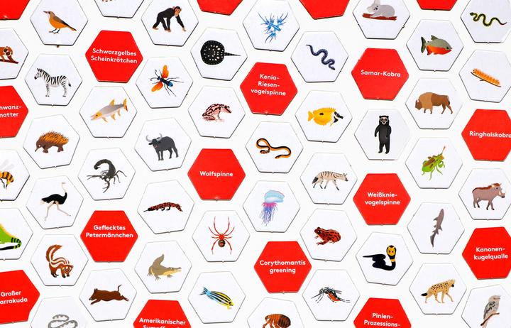 Produktbild Erste*r sein! Gefährliche Tiere (Deutsch)