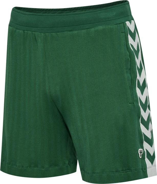 Image du produit hummel Short Hmlarchive Regular (S)