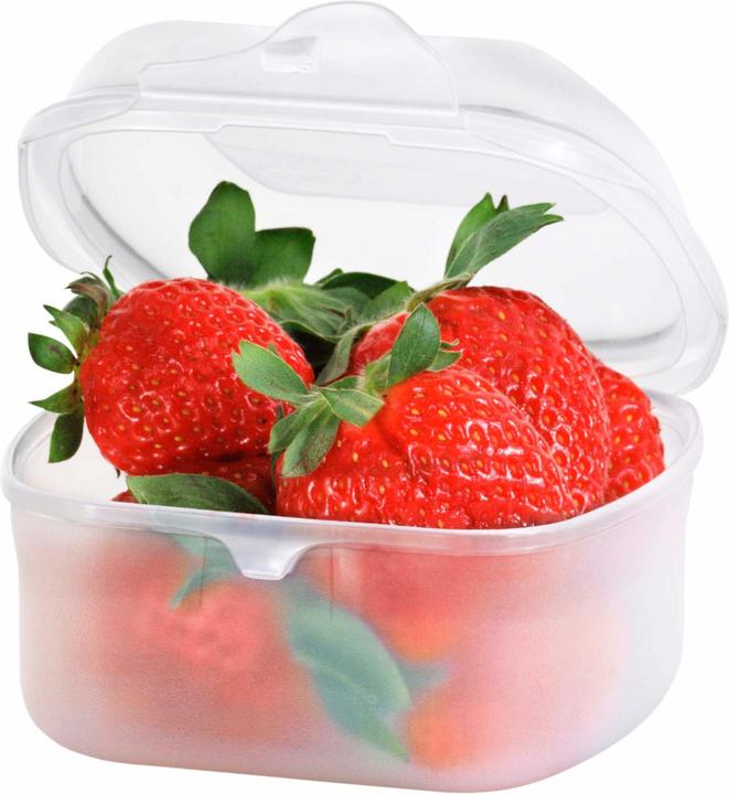Immagine prodotto Rotho Scatola di stoccaggio FUN (0.45 l)