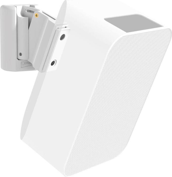 Actual product image Cavus CMBPFW - Bluesound (1 pcs., Wall installation, Rotatable, Tiltable)
