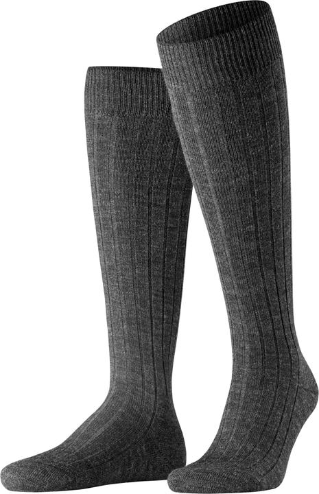 Falke Teppich im Schuh KH