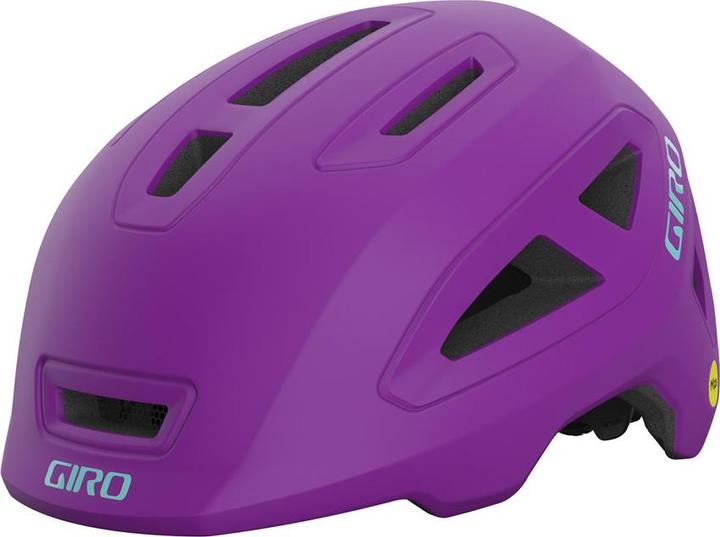 Matte Purple