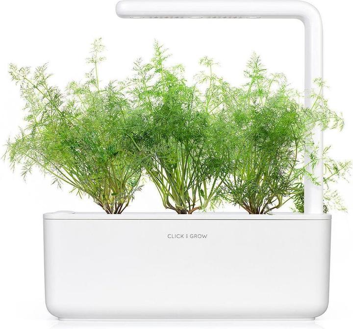 Produktbild Click and Grow Dill (Kräutersamen)
