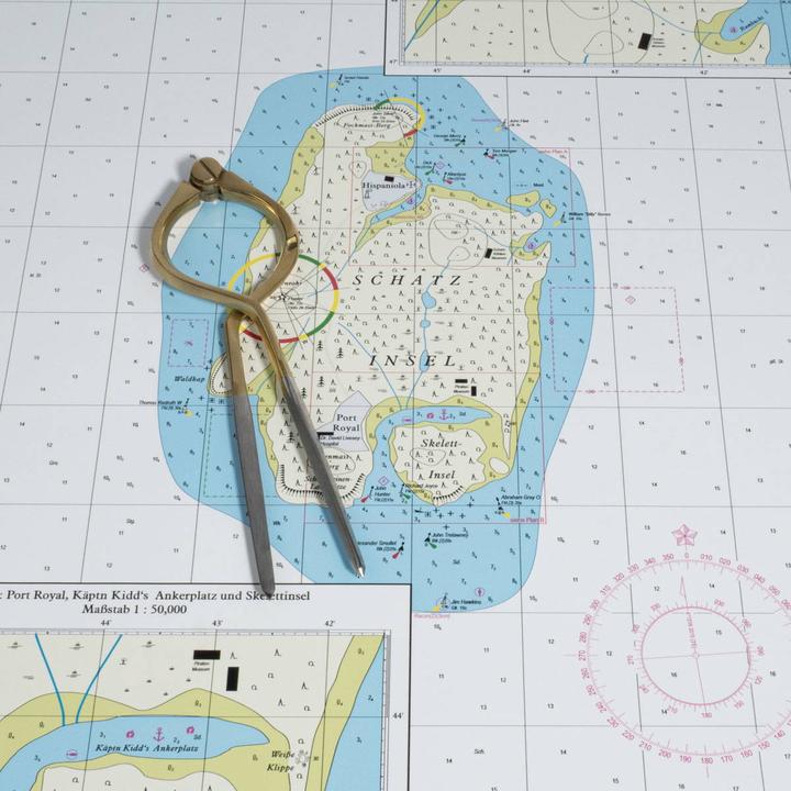 Actual product image Plastimo Brass card compass,200mm