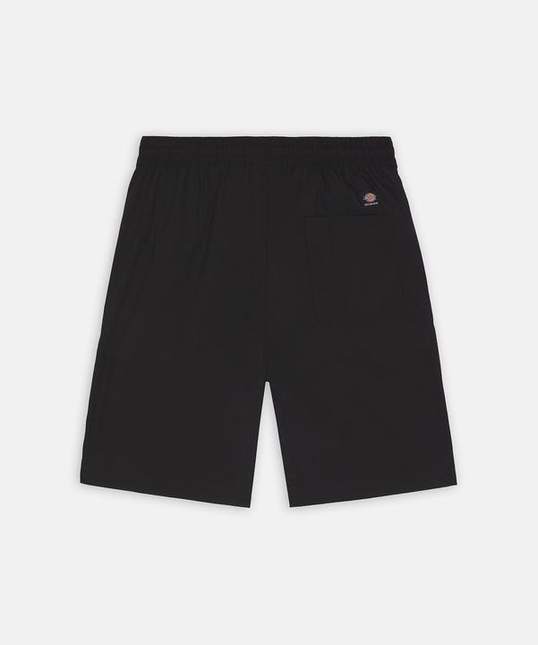 Actual product image Dickies Jackson Cargo Shorts (M)