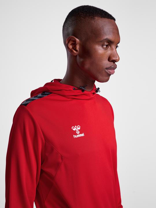 Actual product image hummel Hmlauthentic Pl Hoodie (XS)