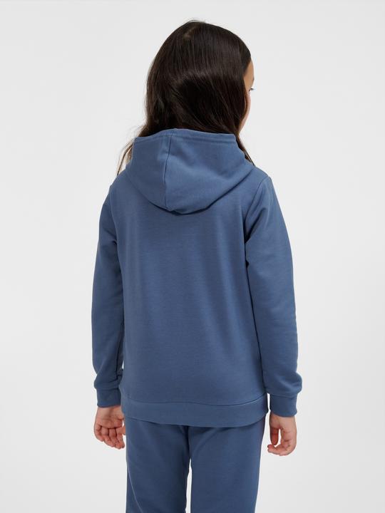 Actual product image hummel hmlCUATRO HOODIE (104)