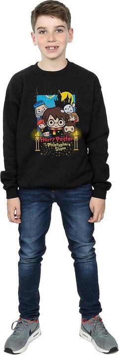 Image du produit Harry Potter Sweatshirt pour garçons (116)