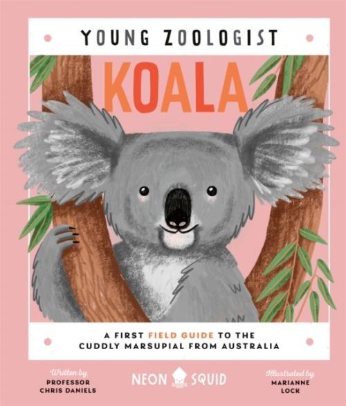 Actual product image Koala (English, Collectif, 2023)