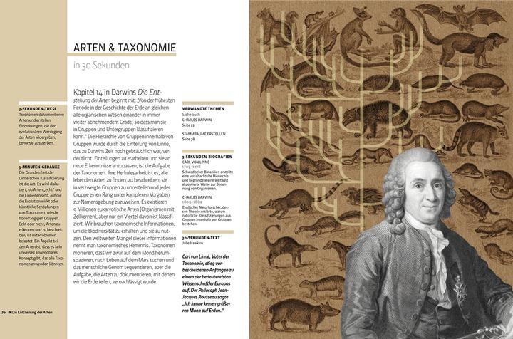 Produktbild Librero Die Evolution in 30 Sekunden (Deutsch)