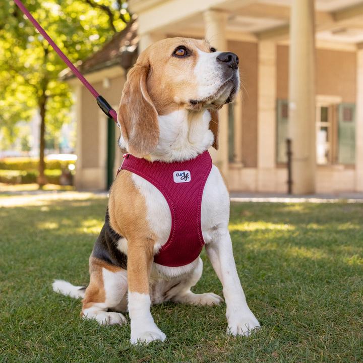 Actual product image Curli Harness Vest Air-Mesh M, Moss (M, Dog, General)