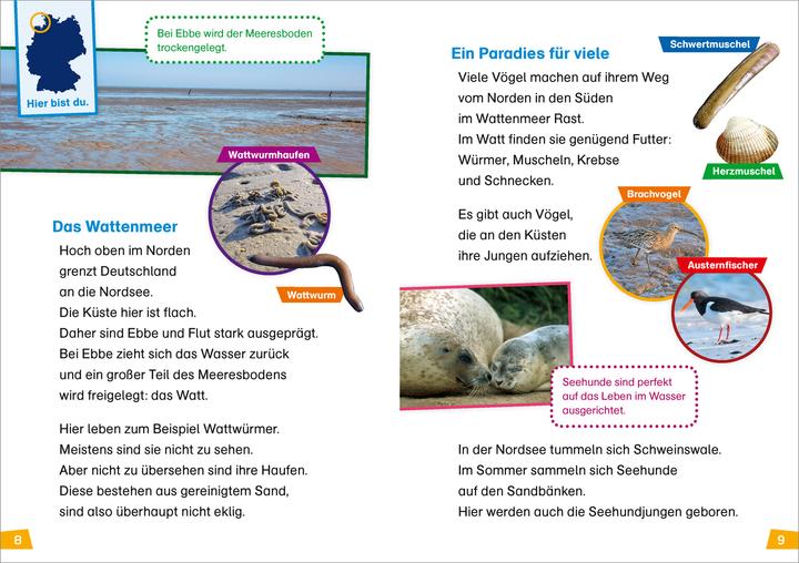 Immagine prodotto Tessloff WAS IST WAS Erstes Lesen Band 21. Deutschland (Tedesco, Cristina Marrone, 2022)